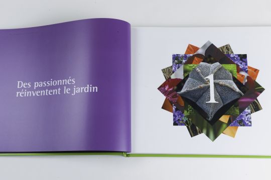 jardiland_01.jpg