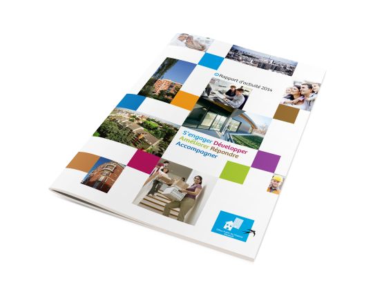 Rapport d'activité