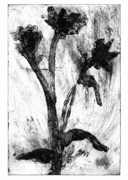Fleur-3_1000px.jpg