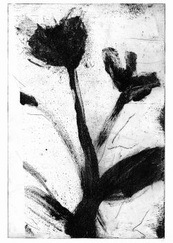Fleur_2_1000px.jpg