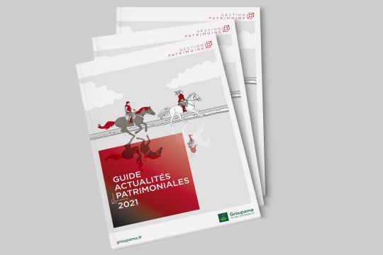 groupama_actus_pat_01.jpg